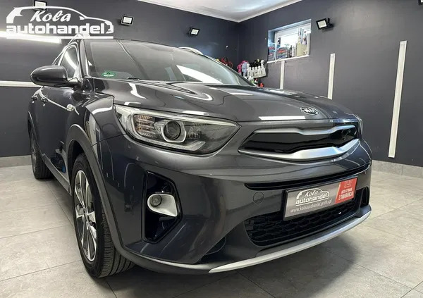 lubuskie Kia Stonic cena 65999 przebieg: 104028, rok produkcji 2017 z Dąbie